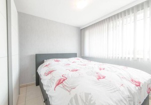 50 m² Apartment ∙ 1 bedroom ∙ 3 guests