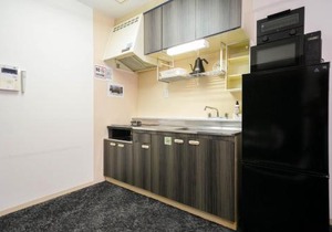 88th Matsui Bill - Vacation STAY 88967