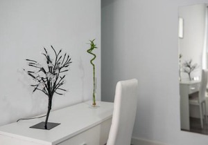 Apartamentos Turísticos Domus Seleqtia Plaza Mayor