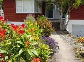 Blooming Delight Tauranga