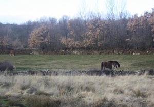 Casa Rural Los Castaños II