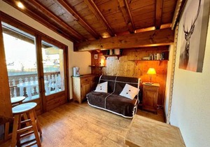 Chaleureux studio au pied des pistes avec parking et animaux acceptés - FR-1-505-6