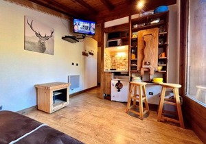 Chaleureux studio au pied des pistes avec parking et animaux acceptés - FR-1-505-6