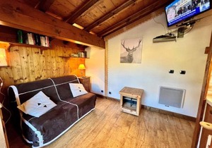 Chaleureux studio au pied des pistes avec parking et animaux acceptés - FR-1-505-6