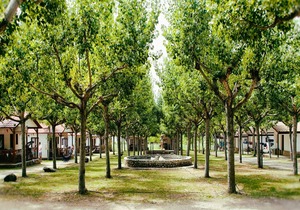 Charming Pyrenees Getaway