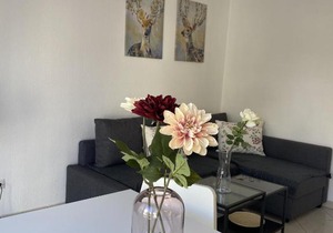 City Apartment am Rhein 3