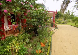 Comfortable Studio with Sea View in Foulpointe - 30 m²