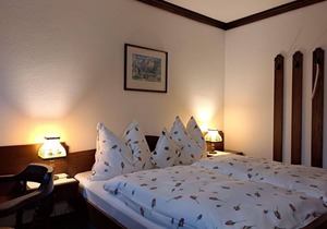 Double room "Steyrblick" with shower, WC - Hotel garni Landhaus Bürtlmair *