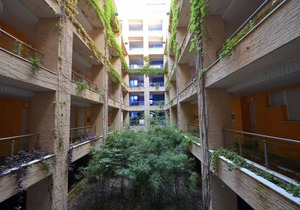 ESPIGÓN PONIENTE 7 in Punta del moral