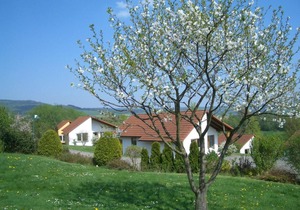Holiday home Feriendorf Uslar 1