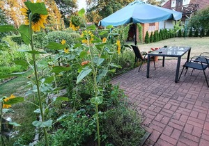 Holiday house Leba for 1 - 2 persons with 1 bedroom - Holiday home