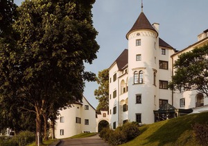 Junior Suite, balcony (half board) - IMLAUER Hotel Schloss Pichlarn