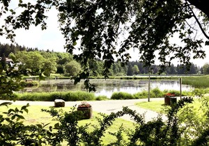 Lieblingsplatz Harz