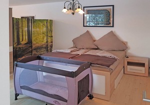 Modern Apartment in Wildemann with Parking