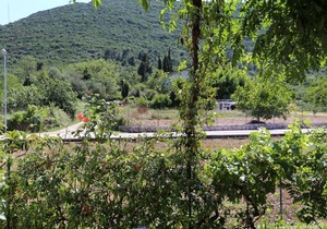 One bedroom apartment with terrace Mali Ston, Pelješac (A-10226-b)