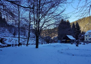 Quaint Apartment in Upper Harz in Wildemann with Views