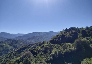 Tatil köyü