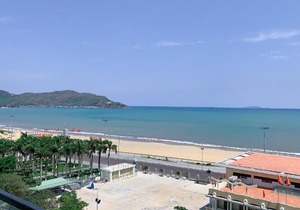 TMS Quy Nhơn