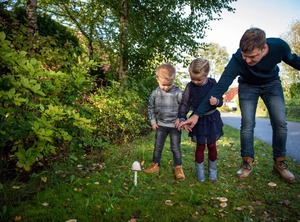 Bungalow The Holiday Park Landal Natuurdorp Suyderoogh | Lauwersoog