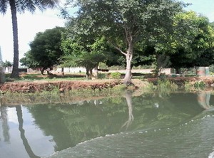 Camping Sitaba Lodge | Janjanbureh