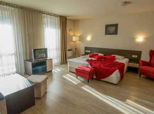 Stayinn Banderitsa | Shiligarnika