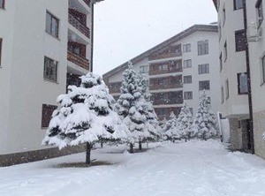 Detelina Residence | Shiligarnika