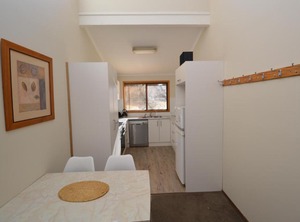 Pines | Jindabyne