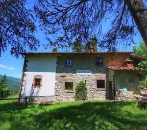 Farmhouse Ortignano Swimming 