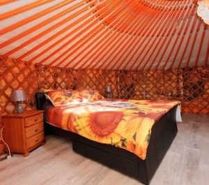 Yurt Experience 