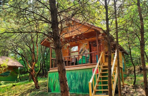 Mengen Ski Chalet | ÇAMPINARI DOĞA EVLERİ & RESTAURANT