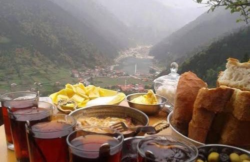 Uzungol House | Çay Pansiyon