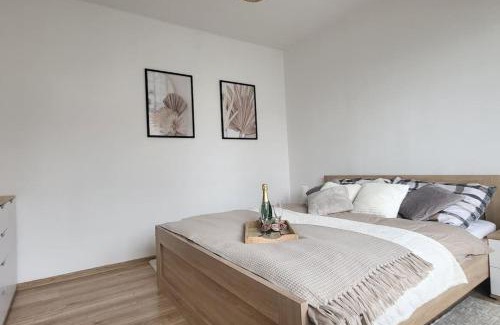 Rychnov nad Kneznou Apartment | Útulný byt v centru města
