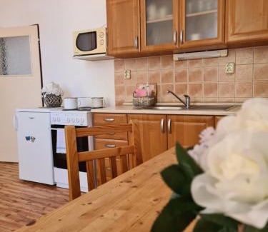 Nova Bystrice Apartment | Úzkokolejky - apartmány Nová Bystřice