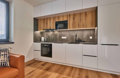 Cerny Dul Apartment | Černý Důl by Interhome