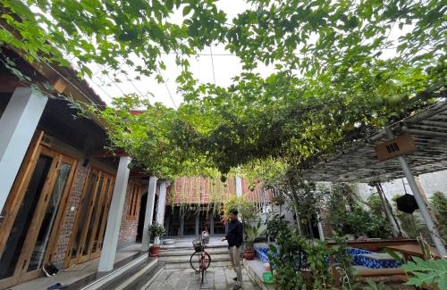 Son Tay House | Đường lâm village homestay