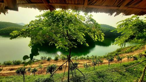 Ngoi Tu Bed & Breakfast | Đao Hoa resort