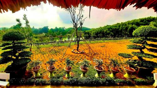 Ngoi Tu Bed & Breakfast | Đao Hoa resort