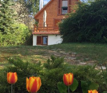 Zebegeny House | Őzgida Nyaralóház