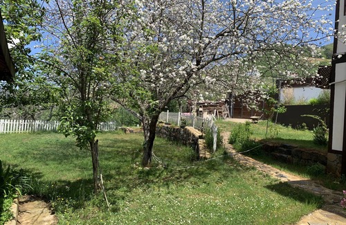 Akcaabat Villa | Şamlıoğlu Historical Mansion