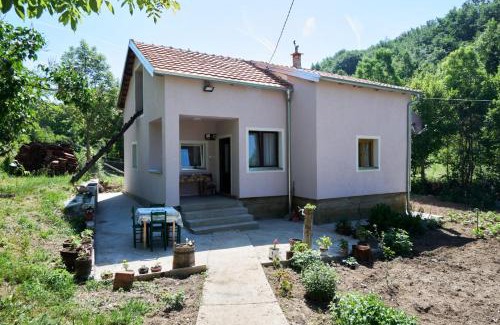 Central Serbia Apartment | Šumska tajna - Radenkovac