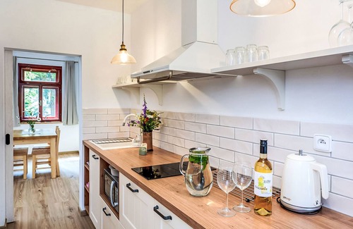 Horni Plana Apartment | Želnava by Interhome