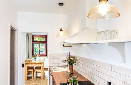 Horni Plana Apartment | Želnava by Interhome