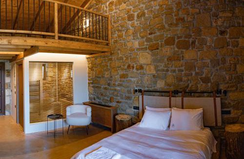 Mesaia Trikala Hotel | Άνδηρο