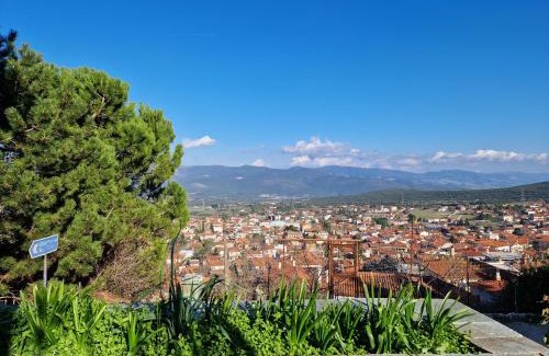Amfikleia-Elateia Apartment | Πανόραμα