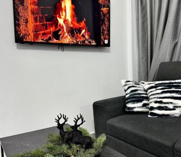 Tithorea Apartment | Το Φαράγγι του Παρνασσού 3