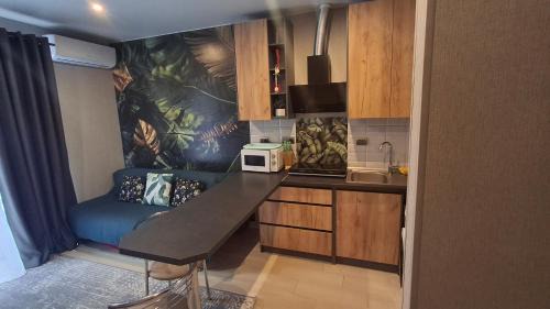 Polyana Apartment | Апартаменти у Сонячному Закарпатті