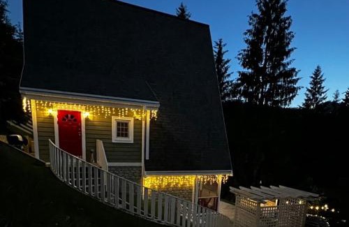 Bukovel Villa | Двоповерховий апартамент у котеджі FREEMAN-4b з альтанкою та грилем - вздовж ділянки маленька річка