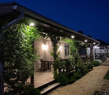 Molodizhne House | Три кошки