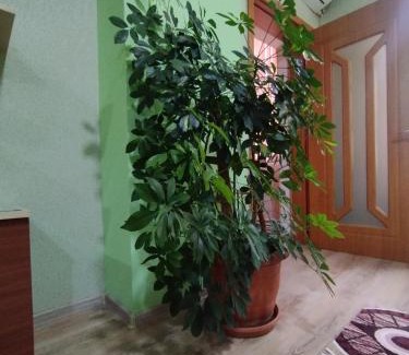 Khatai Apartment | Уютная квартира со всеми удобствами