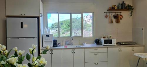 Daliyat al-Karmel Apartment | וילה דיאן